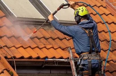 Démoussage et hydrofuge de toiture à Gigny